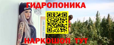 дурь Новозыбков