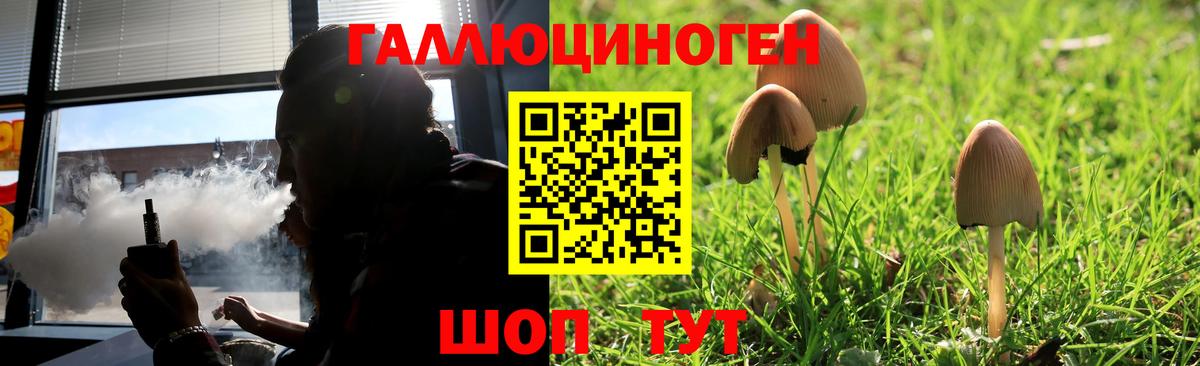 Холмск  Псилоцибиновые грибы Psilocybine cubensis  Псилоцибиновые грибы MAGIC MUSHROOMS  Вход с VPN 